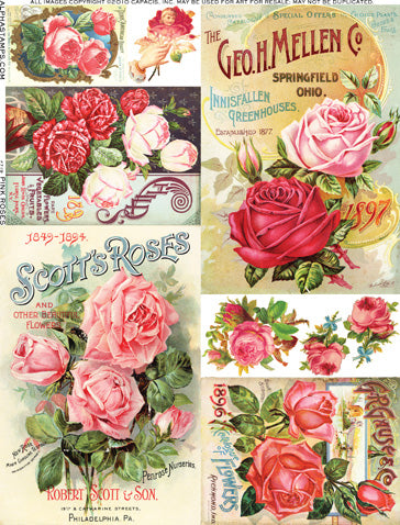 Pink Roses College Pink Roses Collage Sheet | Alpha Stamps