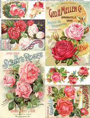 Pink Roses Collage Sheet