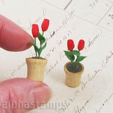 Red Roses in Wooden Flower Pot*