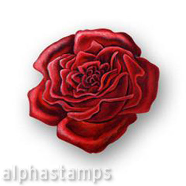 Single Red Rose Download