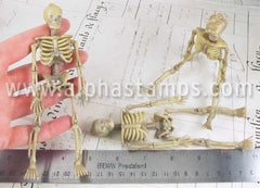 Plastic Skeletons