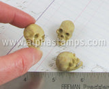 1 Inch Detailed Resin Skull