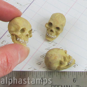 1 Inch Detailed Resin Skull