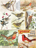 Songbirds - ATCs & 4x4s Collage Sheet