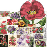 Tallulah's Flowers Collage Sheet