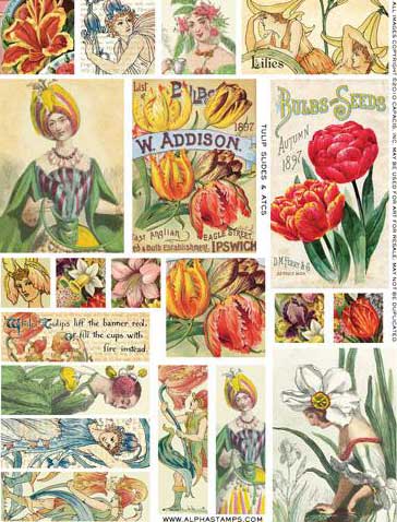 Tulip Slides & ATCs Collage Sheet