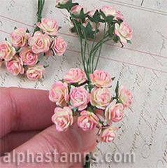 Tiny Paper Roses - Pink Cream Variegated