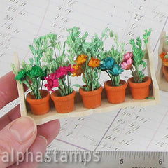 Mini Flower Box with Wild Flowers - SOLD OUT