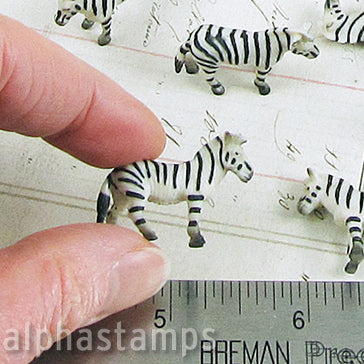 Micro Mini Zebra